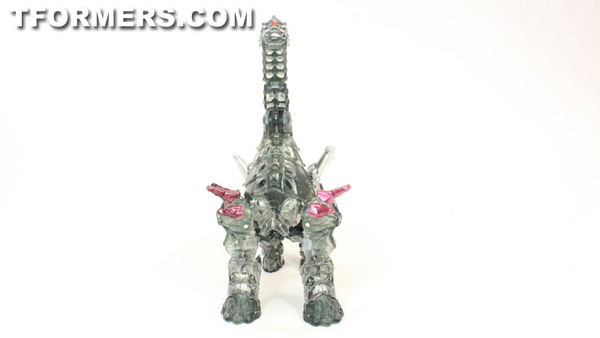 TF4 Dinobots Platinum Edition Unleashed Shared BBTS Exclusive 5 Pack  (59 of 87)